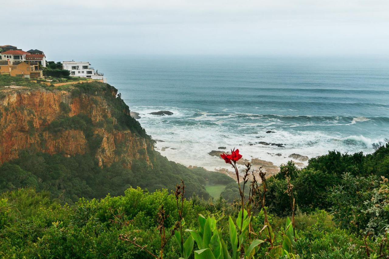 Head over Hills Knysna Buitenkant foto
